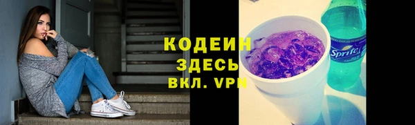 соль ск Арсеньев