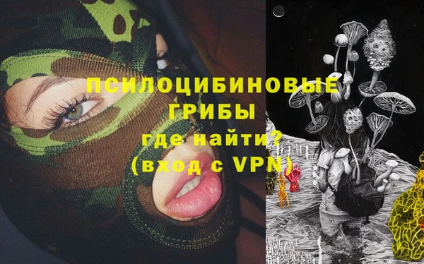 соль ск Арсеньев